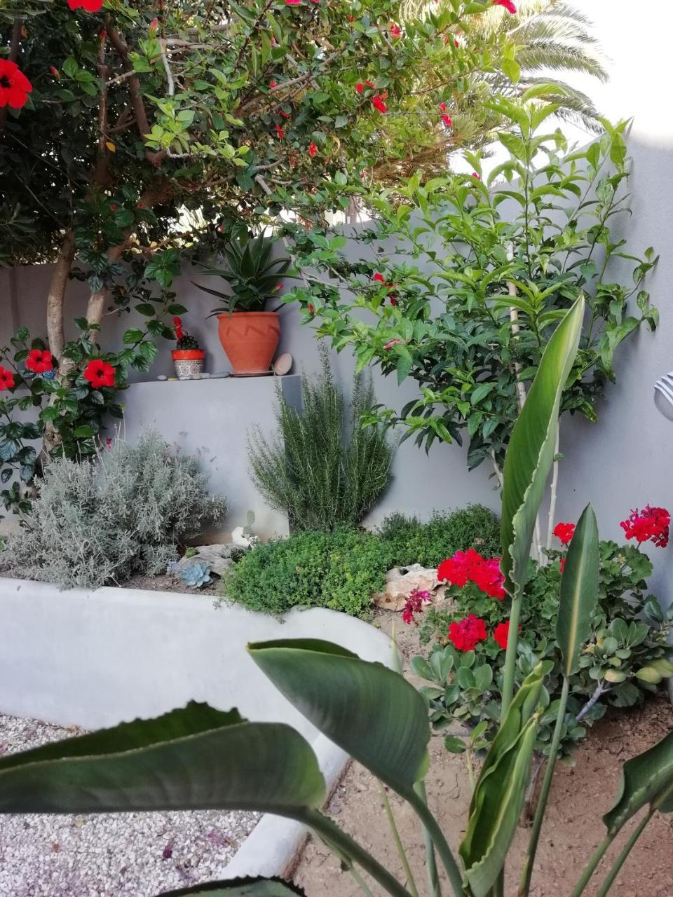 Dimitris' & Valentina's Plakias