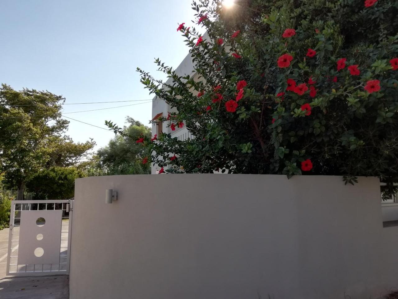 Dimitris' & Valentina's Plakias