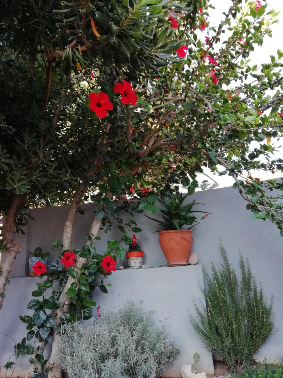 Holiday home Dimitris' & Valentina's